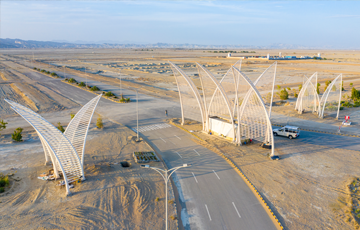 Gwadar Green Palms